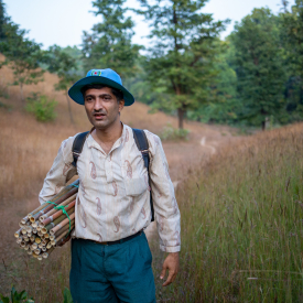 Bansuri (flute) is a combination of bans (bamboo) and sur (tone). Flute making is a precise art, mastered through years of practice and training, which brings together knowledge of the natural world with knowledge of acoustics and music. 