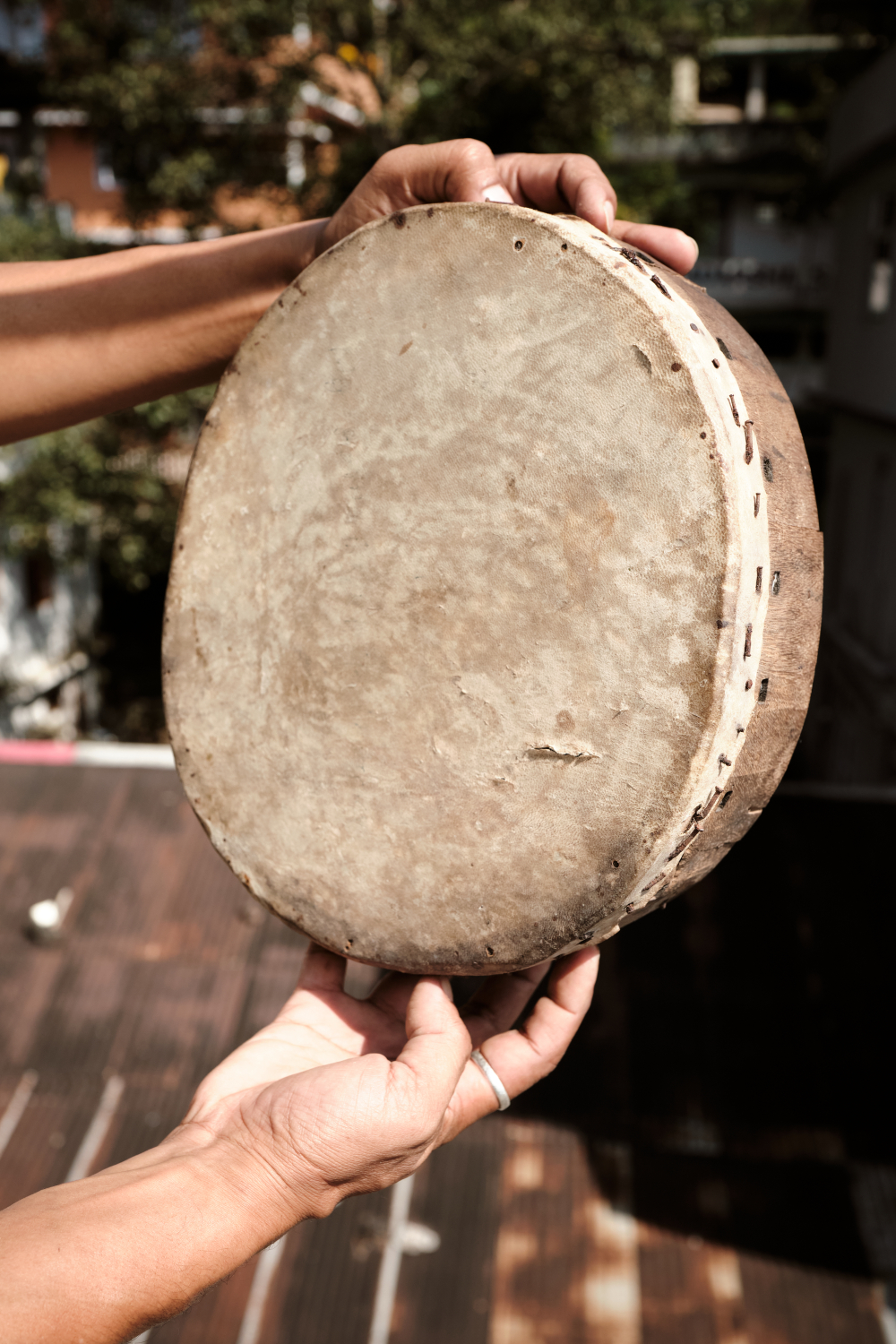 Damphu at the Ramgauri Sangralaya, Rhenock. (Picture Credits: Abhishek Anil)
