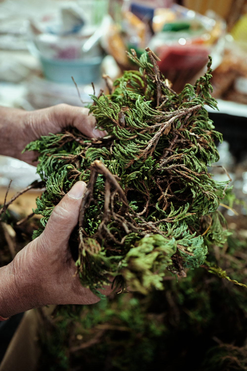 Dried Juniper and Pine tree leaves, colloquially called sang for sale in Lall Bazaar. (Picture Credits: Abhishek Anil.)