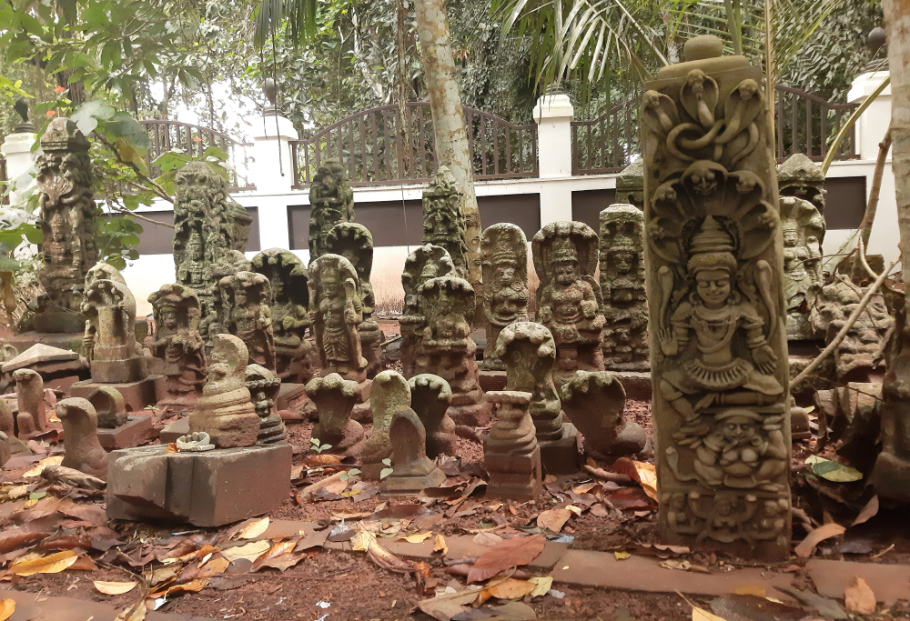 Fig 1. Serpent idols at Vetticode Nagaraja temple. These idols are representative of deities like Nagaraja, Nagayakshi, Nagachamundi, Nagakanyaka, and Maninaga. The idols are mostly made of rock and occasionally with panchaloha (five metals), a mix of gold, silver, iron, copper, and zinc. On the day of ayilyam (ninth day of Hindu astrology) every month, these idols are smeared with turmeric and salt, and ritualistic offerings are made