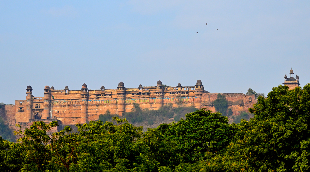 Mansingh Tomar’s palace walls. (Picture Courtesy: Sharvarism/Wikimedia Commons) 