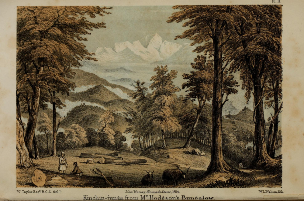 View of Kanchenjunga from Hodgson’s Bungalow, 1854. Picture Credits: Illustration by W. Taylor from J.D. Hooker’s Himalayan Journals/Wikimedia Commons.