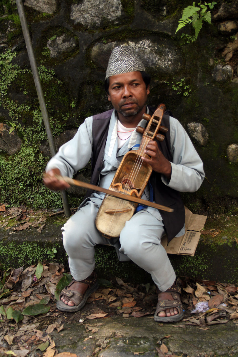A man playing sarangi. (Picture Courtesy: flowcomm/Wikimedia Commons)