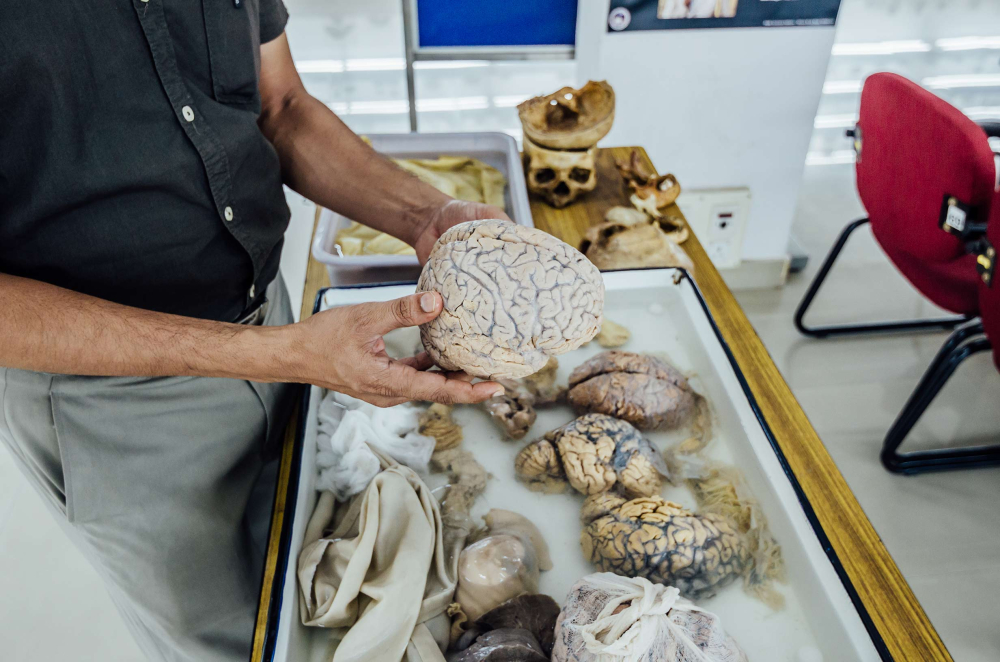 NIMHANS Brain Museums, Museums of India