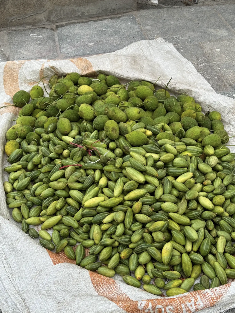 Potol (pointed gourd) and Kakrol (Teasel gourd) being sold by a roadside vendor, especially to Bengali and Odia families associated with the Sri Aurobindo Ashram. (Picture Credits: Deepa Reddy)
