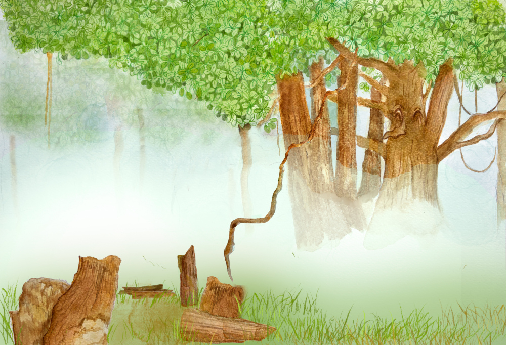Petrified Tree