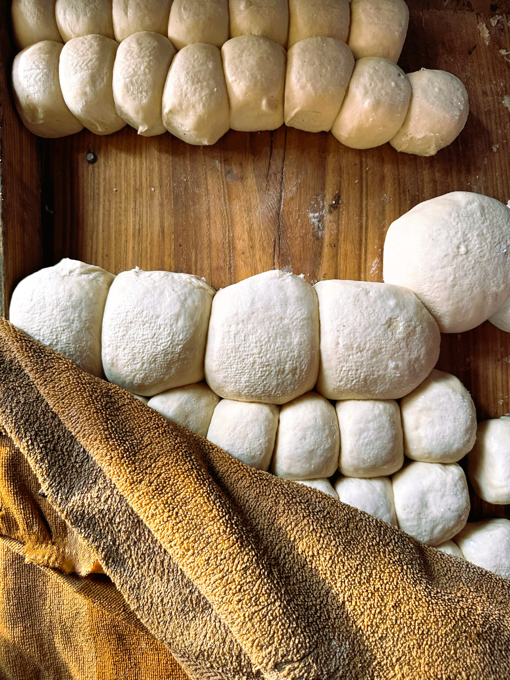 Uniformly sized dough balls kept awet by a cloth. (Picture Credits: Taha Mughal)