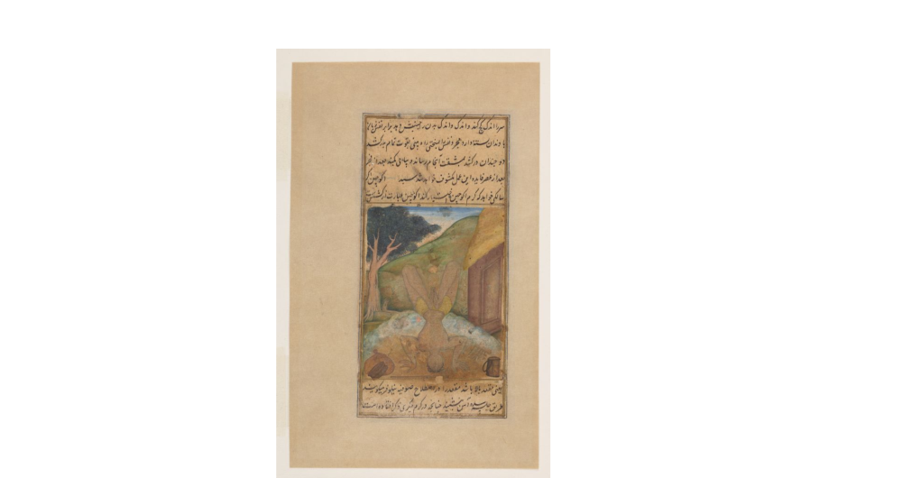 Yogi in akucchan (headstand), from the Bahr al-Hayat, 1600-1604. (Picture Courtesy: Chester Beatty Library)