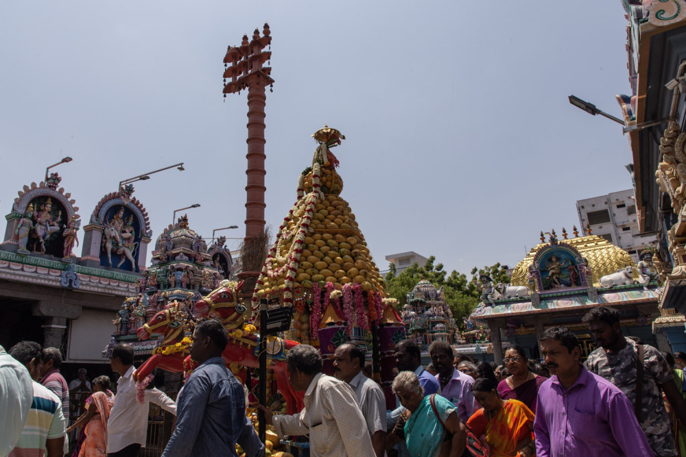 A chariot decorated with mangoes offered by devotees makes a ceremonial procession inside the Vedapureeswarar Temple. (Picture Credits: Pattabi Raman)