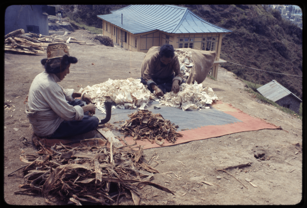 Paper Making. (Picture Courtesy: Alice Kandell/Library of Congress)