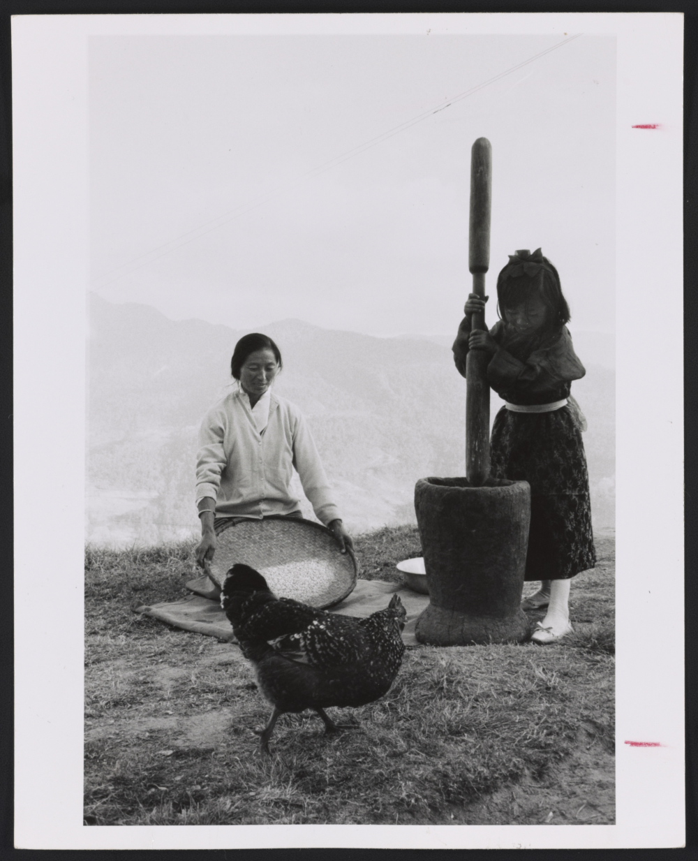 Pounding of rice. (Picture Courtesy: Alice Kandell/Library of Congress)
