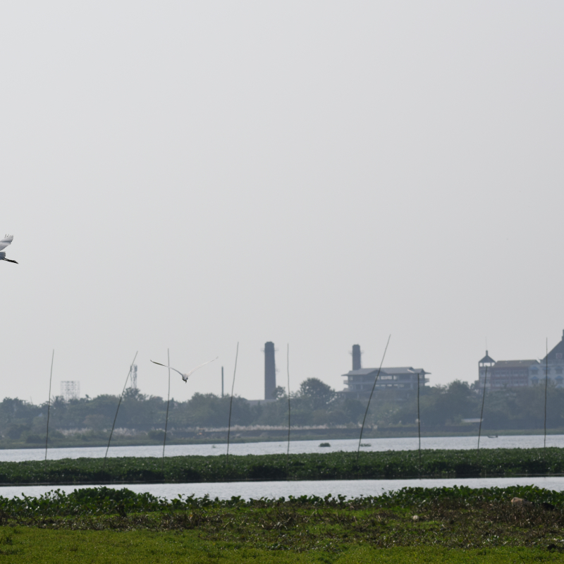 Deepor Beel Wetland