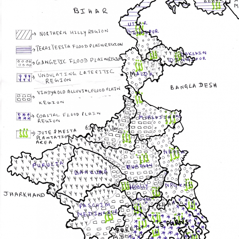 Schematic Map of Jute Production in West Bengal