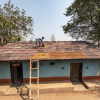 The Mahua tree, and its flowers laid to dry on a roof top. Photo credit: Anzaar Nabi