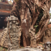 Serpent idols at Vetticode Nagaraja temple. These idols are among the hundreds of serpent idols placed in the temple premises. The idols are made entirely out of stone and represent different serpent deities (Courtesy: Devika B)
