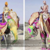 Embedded thumbnail for Decorating Elephants at Hathi Gaon in Rajasthan