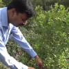 Embedded thumbnail for Walkthrough of Butterfly Conservatory, Yamuna Biodiversity Park 
