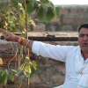Embedded thumbnail for Bishnoi Tiger Force: In Conversation with Ram Niwas Budhnagar