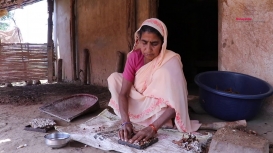 Embedded thumbnail for From Pod to Packet: Processing Tamarind in Bastar