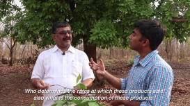 Embedded thumbnail for The Landscape of Lac Production in Bastar: a conversation between Arunpol Seal and Basant Yadav, President, Sahabhagi Samaj Sevi Sanstha 