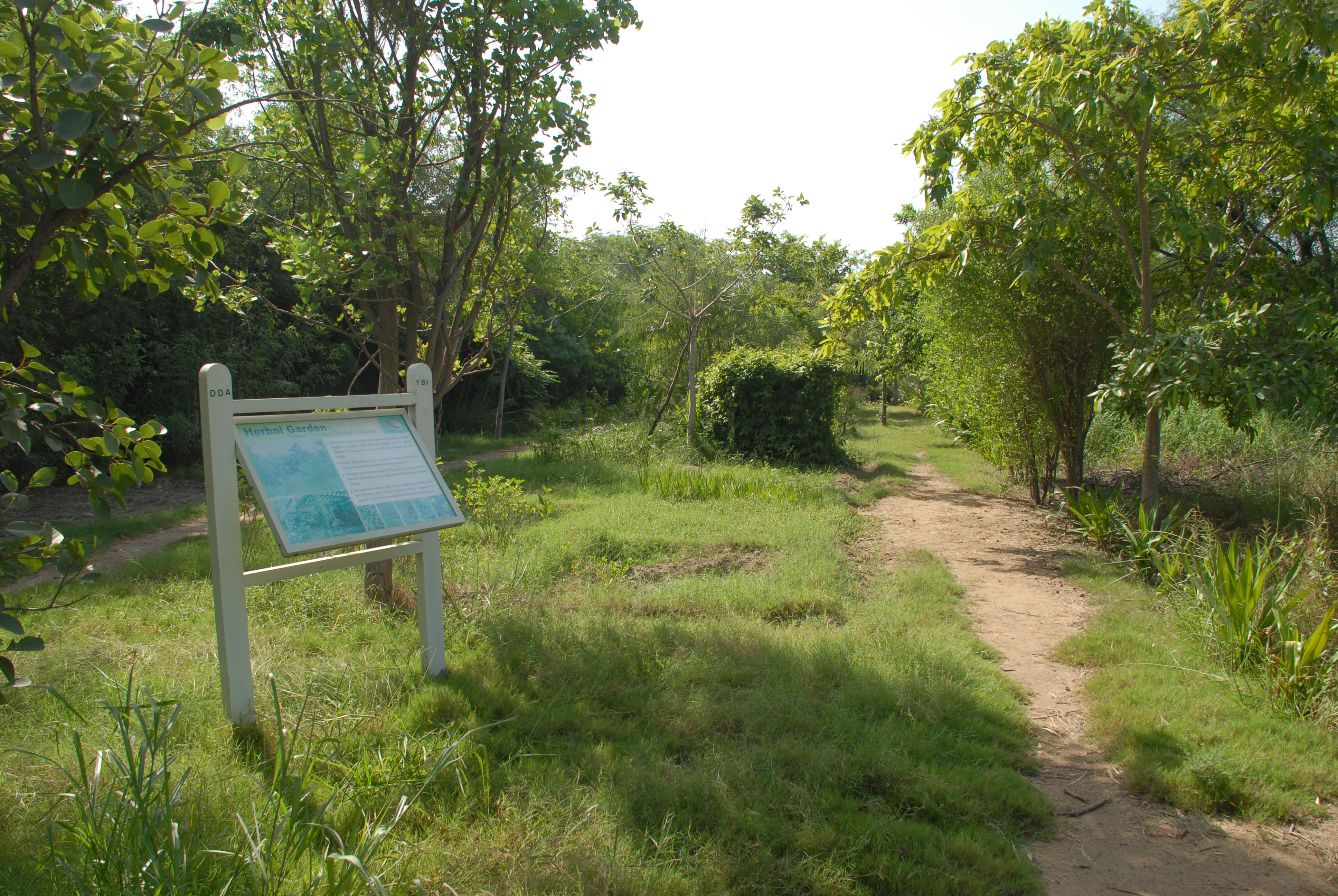 Herbal Garden, YBP Sahapedia