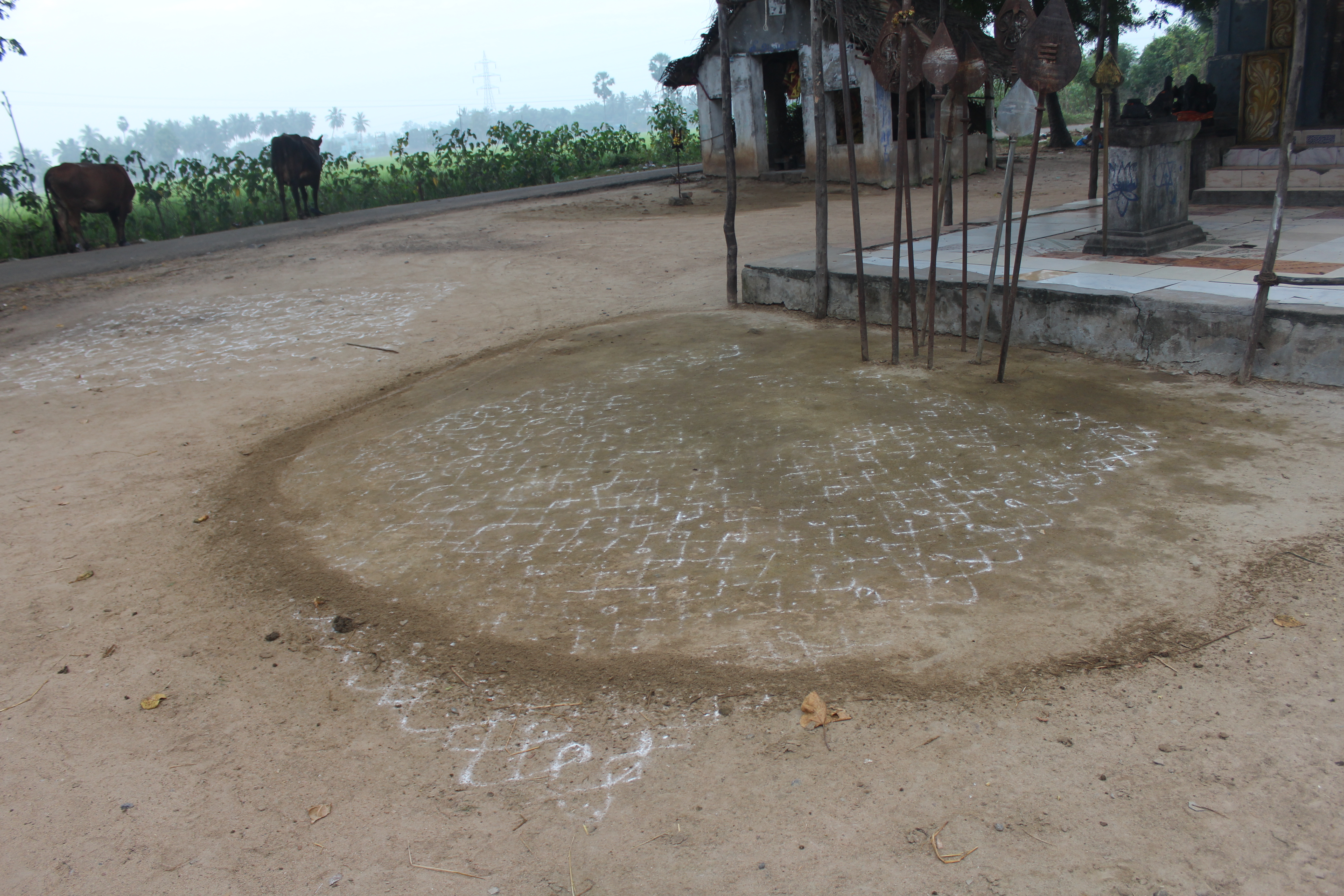 Kolam: Photo Documentation | Sahapedia