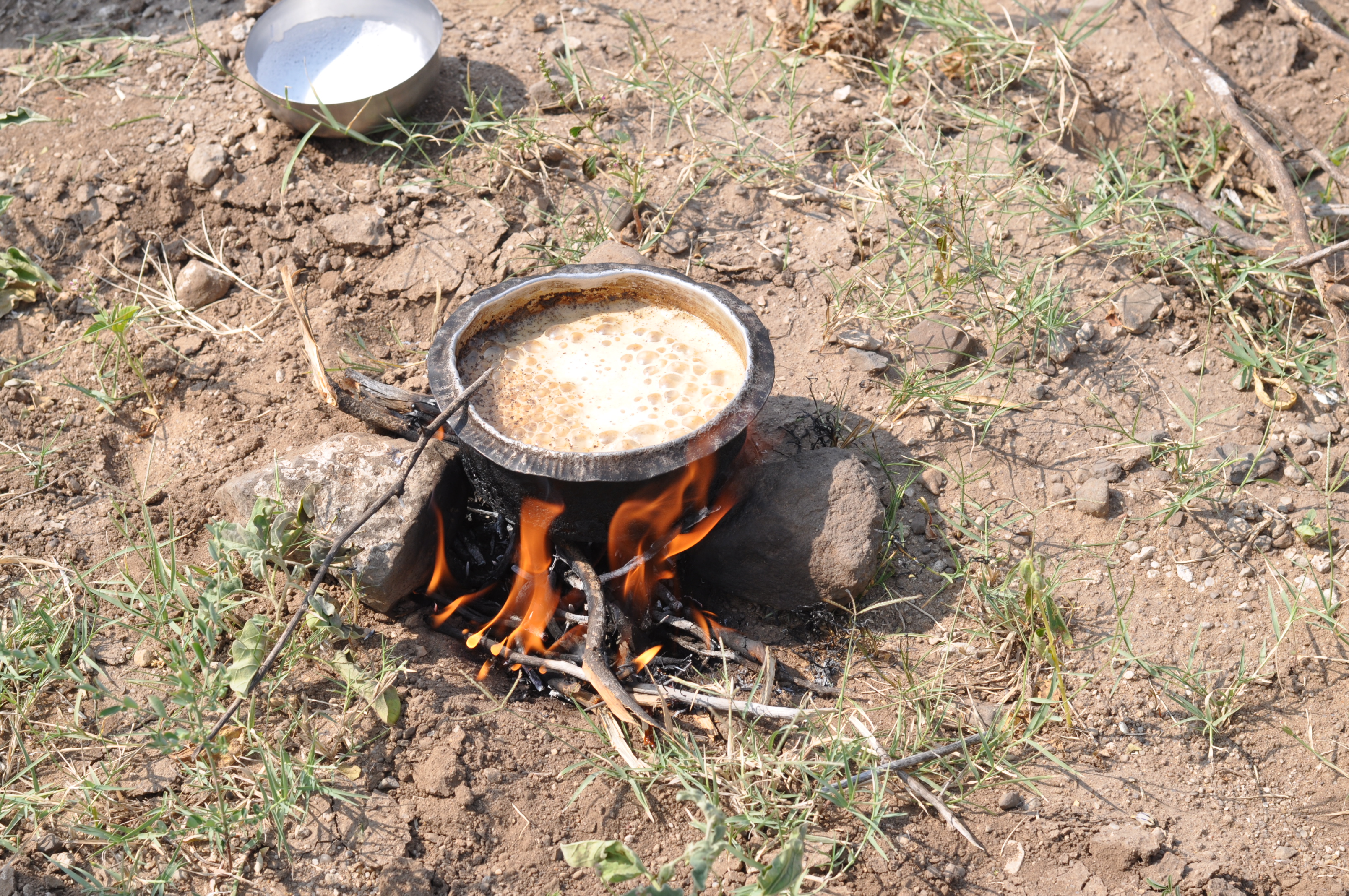 Everyday Lives of Rabaris | Sahapedia