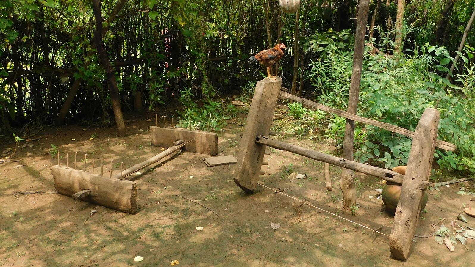Fig.3.लुंडी-ताना - यह लकड़ी से बना औजार है जिससे कपड़े की चौड़ाई यानी ‘अरज’ तय की जाती है |(सौजन्य: सरोज केरकेट्टा)
