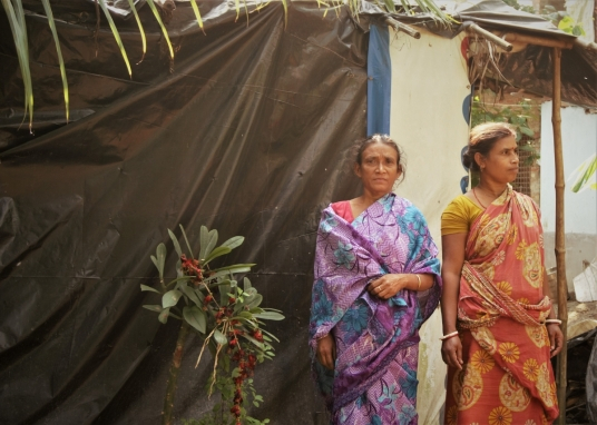 Women worship Manasha plant at Jafarpur village