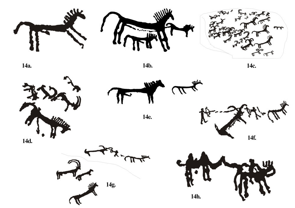 Fig. 14. (a–h) Figures of horses along with hunting scenes are common on the Sasoma site. Such a stylistically distinct representation of horses is not found elsewhere in Ladakh