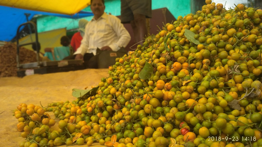 Pem Beeja at the haat