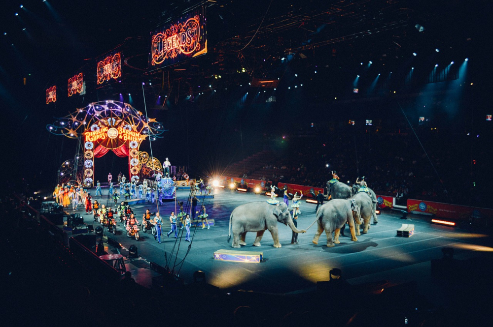 A PT Barnum and Bailey Circus production (Courtesy: Pixabay)