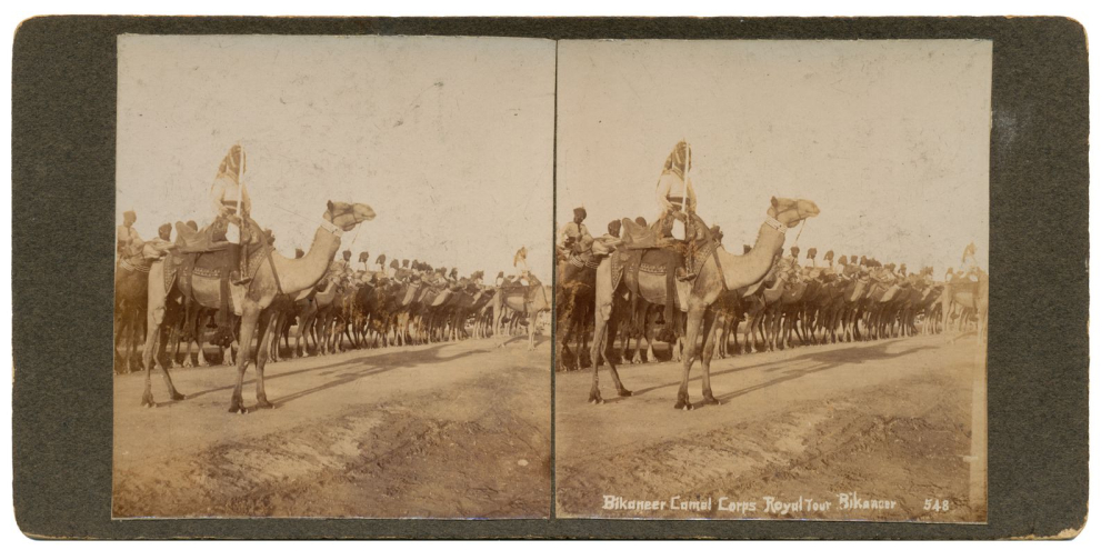 Bikaner Camel Corps Royal Tour in June 1905_Wikimedia Commons