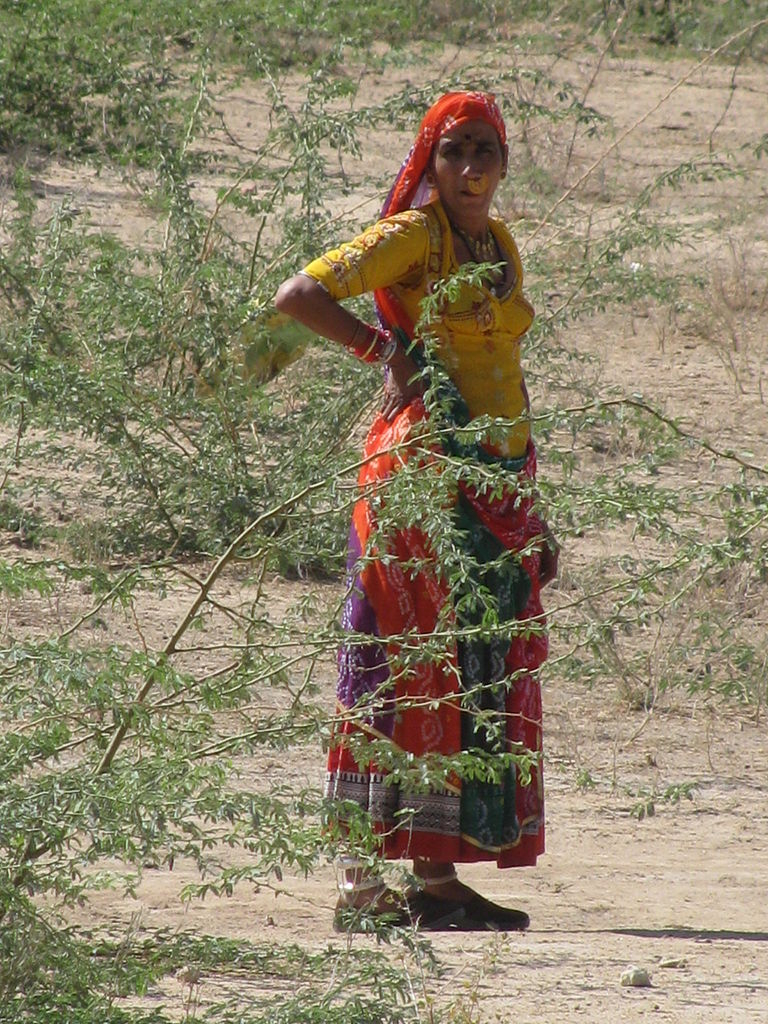 A Bishnoi woman from Rajasthan (Photo: Wikimedia Commons)