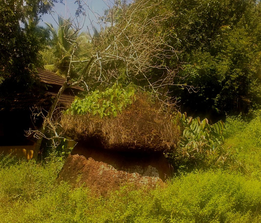 Kudakkal, Thavanur, Malappuram