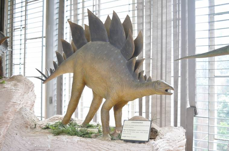 Natural History Museum Chandigarh_MuseumsofIndia