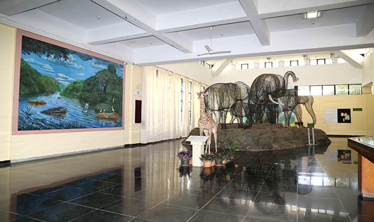 Regional Museum of Natural History Mysore_MuseumsofIndia