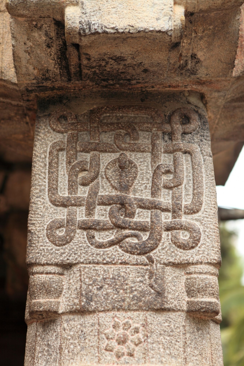 Nagakettu carved on one of the pillars at the Jain temple in Sultan Bathery. Nagakettu refers to the representation of an intertwined knot of snakes or nagas. Photo courtesy: A. Mohammed