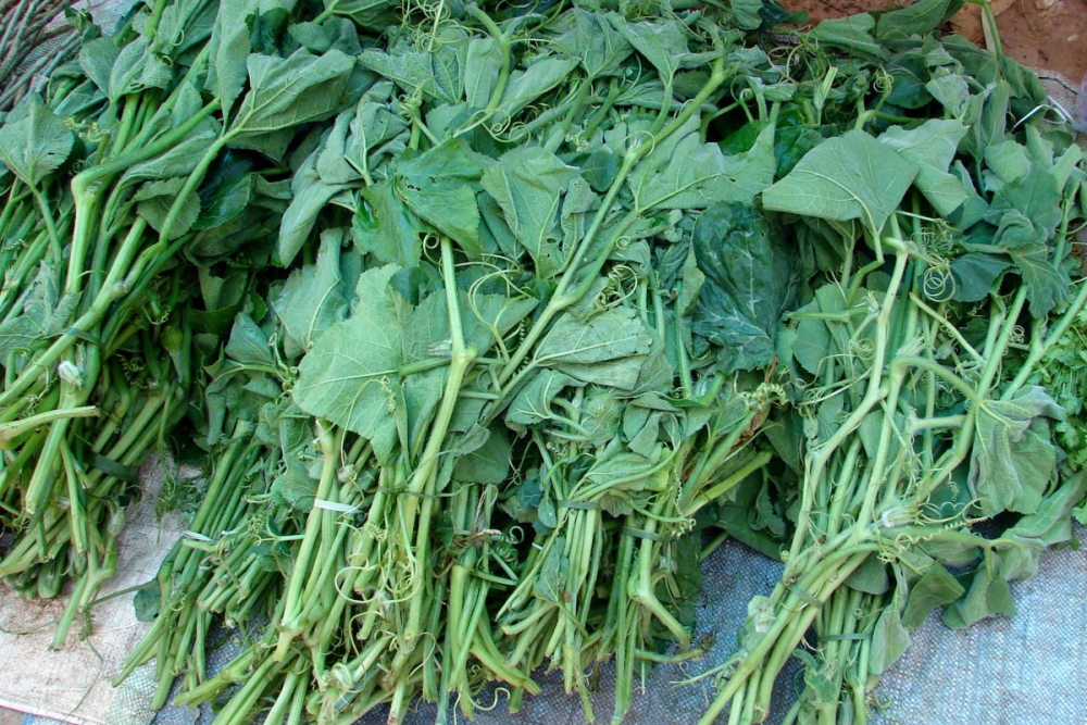 बस्तर के पारम्परिक आहार/ Natural food produce of Bastar | Sahapedia