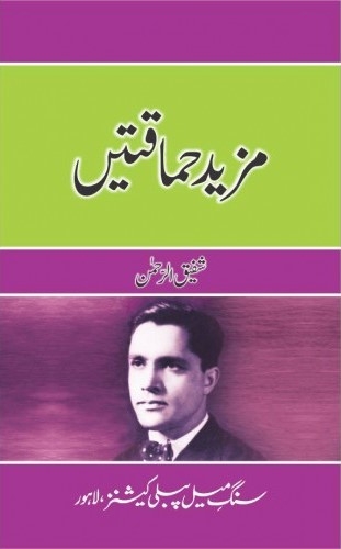 literature essay in urdu
