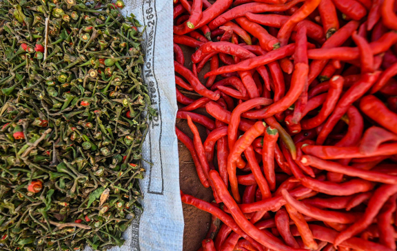 Red Hot Chilli Peppers: Mathania Lal Mirch | Sahapedia