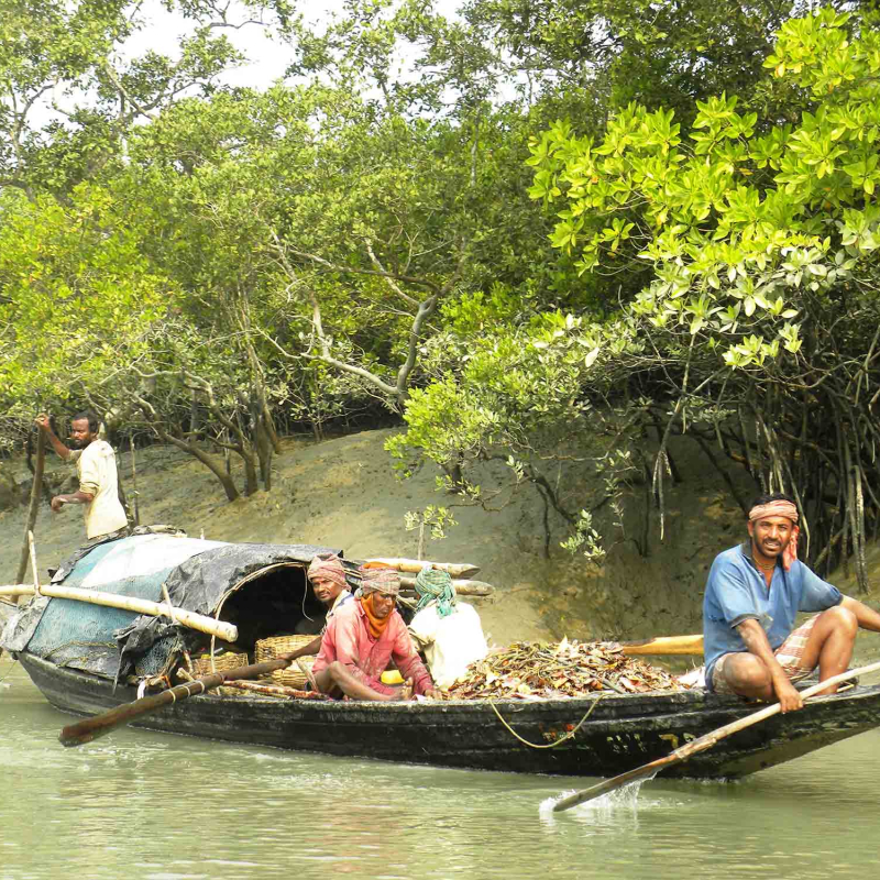 Sundarban From The Perspective Of An Environmentalist 15 Sundarban Tourism