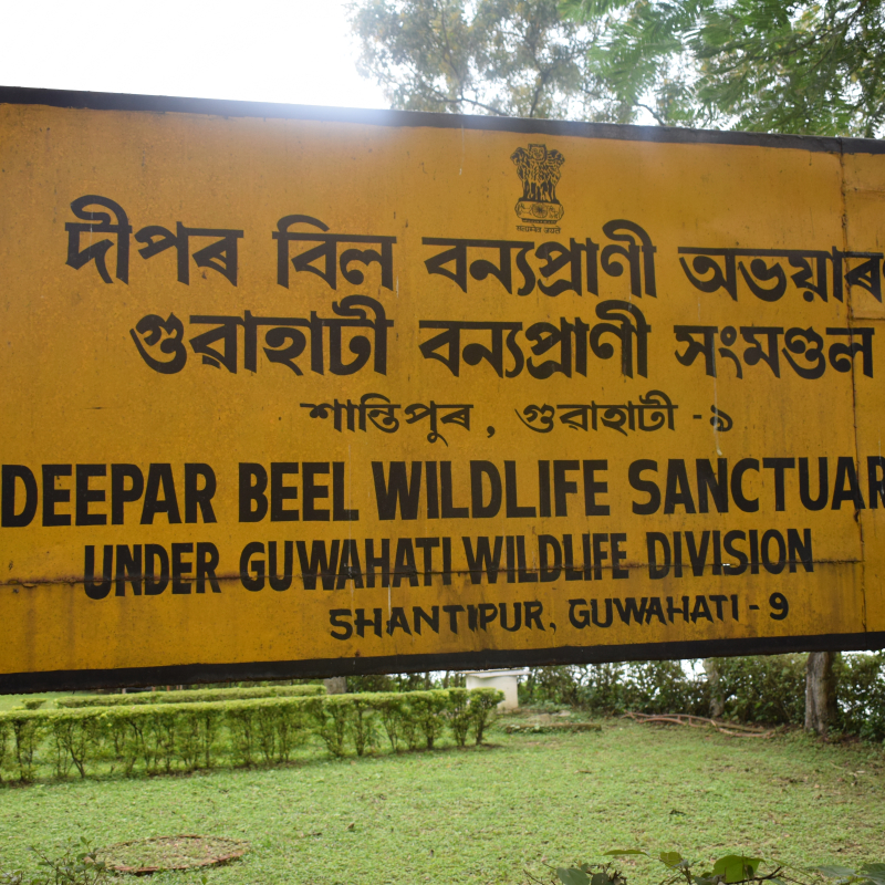 Deepor Beel Wetland Sahapedia This articles releted ramsar wetlands convention? deepor beel wetland sahapedia