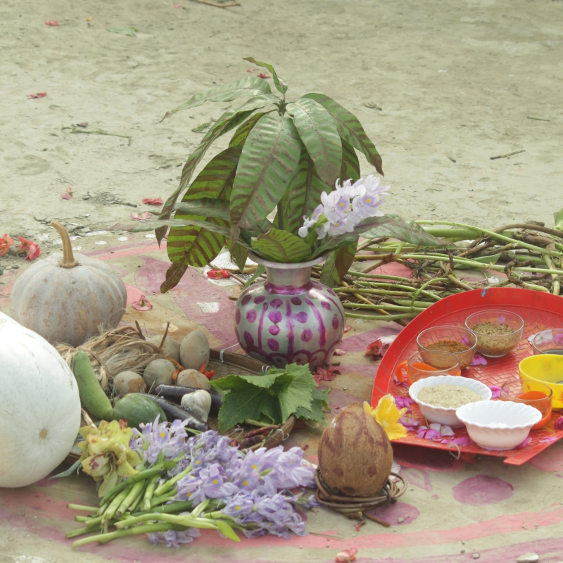 On the night before Gasshi, children form small groups and collect food grains, seasonal vegetables, cooking oil, small bundles of jute, and hyacinth stems and flowers, and arrange them on the courtyard decorated with alpanas. These items are left overnight to soak in the dew, and the vegetables and grains are then cooked into a khichdi in the morning (Courtesy: Md Shalim Muktdir Hussain)