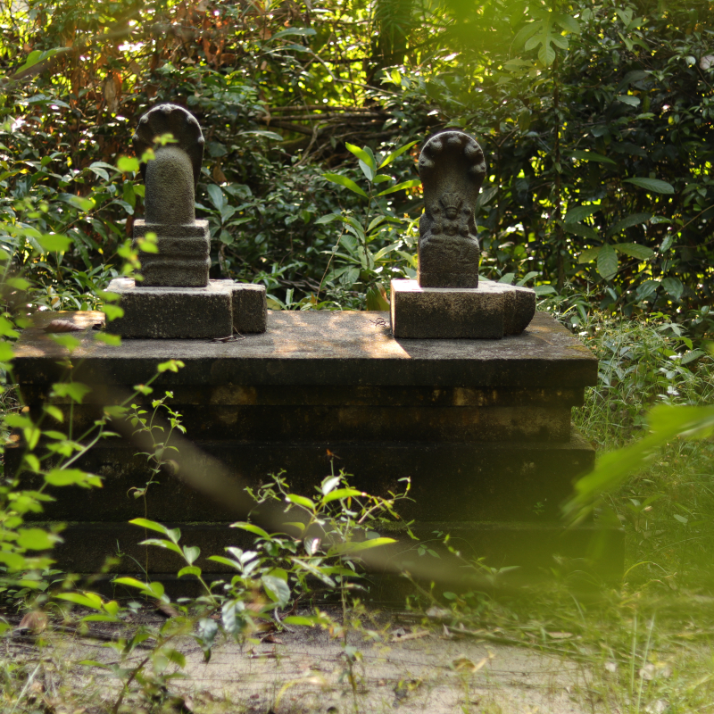 Special Features, Deities and Rituals associated with Sacred Groves