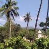 View of Shri Lakhaneshwar Mukhud, Agonda, surrounded by a lush green forest. Most Goan temples are located near springs or rivers, and are perfectly integrated in the landscape. This reveals an architectural culture that, despite changes across time, has managed to maintain an intimate symbiosis with the place where it belongs. (Courtesy: Pedro Pombo)