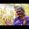 Embedded thumbnail for Baiga Adivasis and their Ecology: In Conversation with Balwant Rahangadale