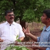 Embedded thumbnail for The Landscape of Lac Production in Bastar: a conversation between Arunpol Seal and Basant Yadav, President, Sahabhagi Samaj Sevi Sanstha 