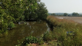 A holding pond used for fish farming (Courtesy: George Jerry Jacob)