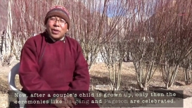 Embedded thumbnail for In Conversation with Losal Dorjay: Weddings and Astrology in Ladakhi Tradition